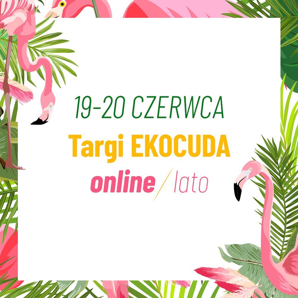 Ekocuda online - LATO!